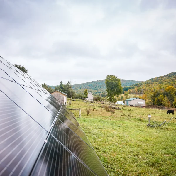 Solaire Energy Solar Panel Installation